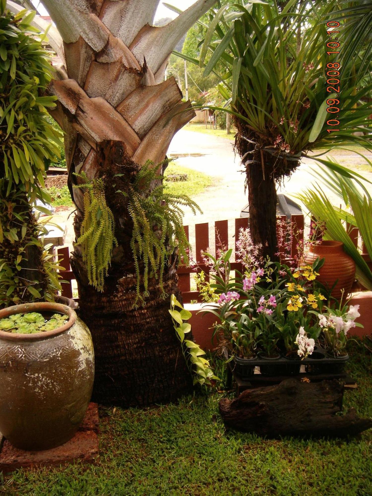 Ao Nang Home Stay - Adults Only Exterior photo